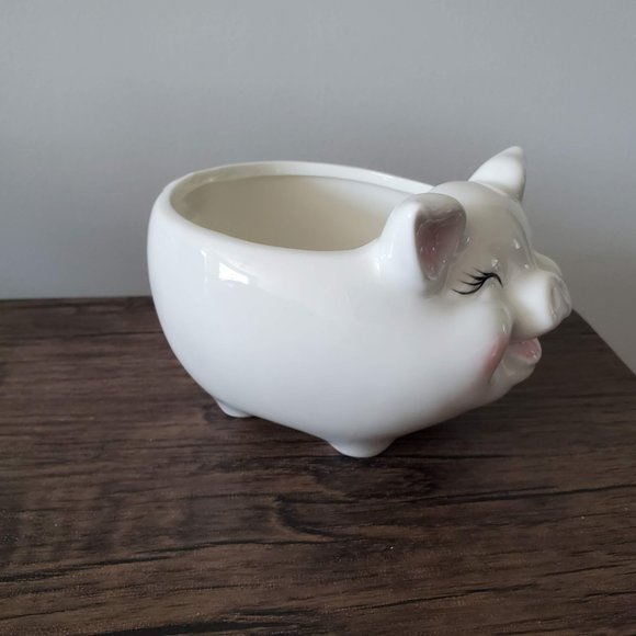 Pig Planter, White Pig Plant Pot, Ceramic Animal Planter, Succulent Planter, 6" - Picture 4 of 8